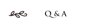 Q&A